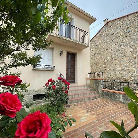 Lg Rite Appartement Avec Jardin Prades  Dış mekan fotoğraf